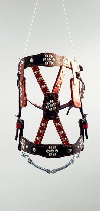 Амуніція для коня, наголовник з шорками, шкіряний, регульований.