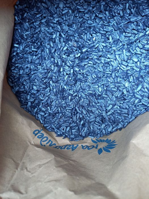 Насіння соняшника НСХ 8005 під гранстар 50г