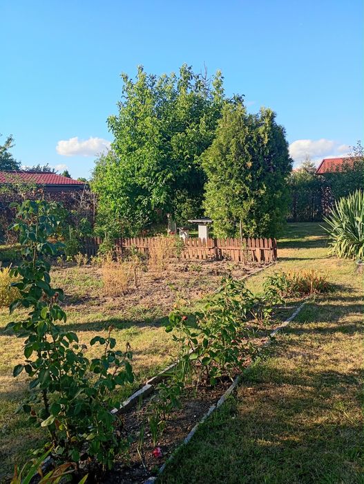 Działka ROD 5,2 ara