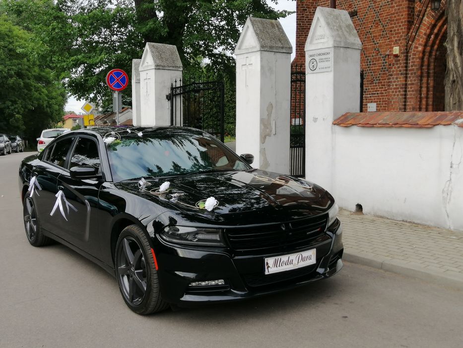 DODGE CHARGER auto do ślubu wesela