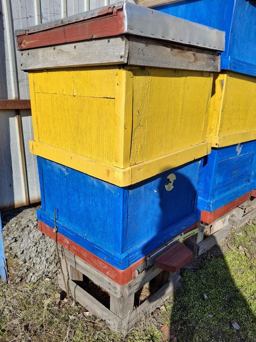 Продам вулики Дадан