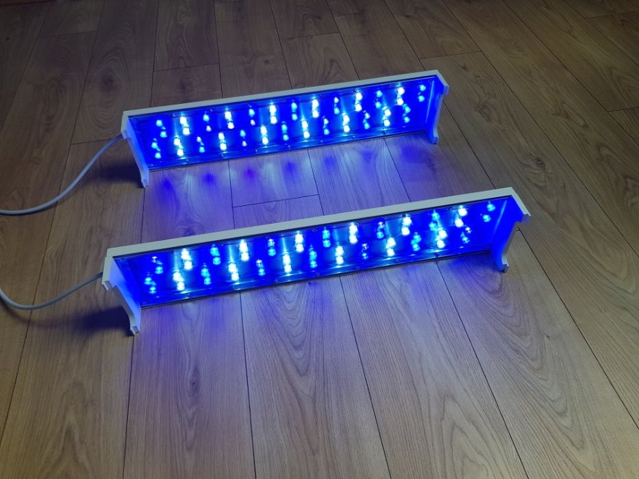 Białe Belki Power Led do Morskiego Akwarium