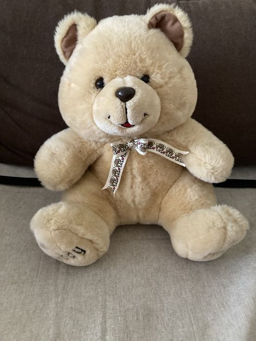 Urso Tedy  que fala