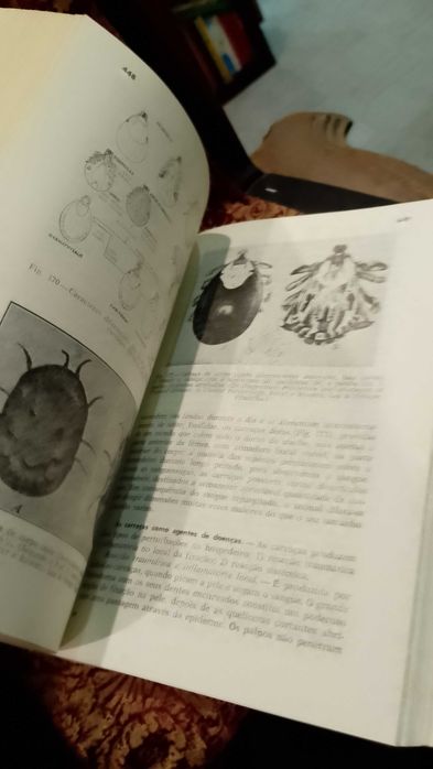 Agentes e Vectores Animais de Doenças Humanas - E. C. Faust