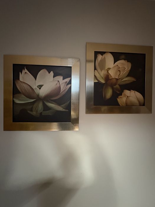 Obrazy komplet 63x 63