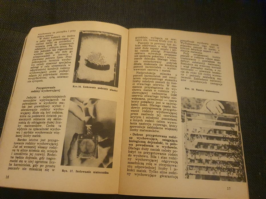 Wychów matek pszczelich 1969 T. Wawryn
