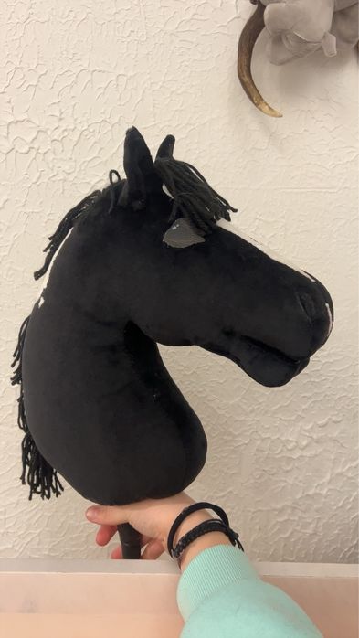 Hobby horse karo-srokaty