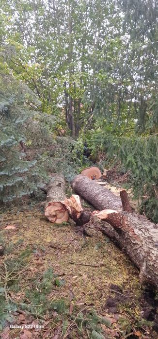 Wycinka drzew krzewów i inne prace ogrodowe, remonty, prace ziemne.