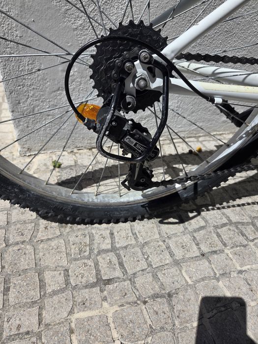 Decathlon Rockrider ST100 Sport roda 24
roda 24
6 velocidades ( atras)
campaínha e luzes incluidas

Tudo nas melhores condições e pronta a usar, idea