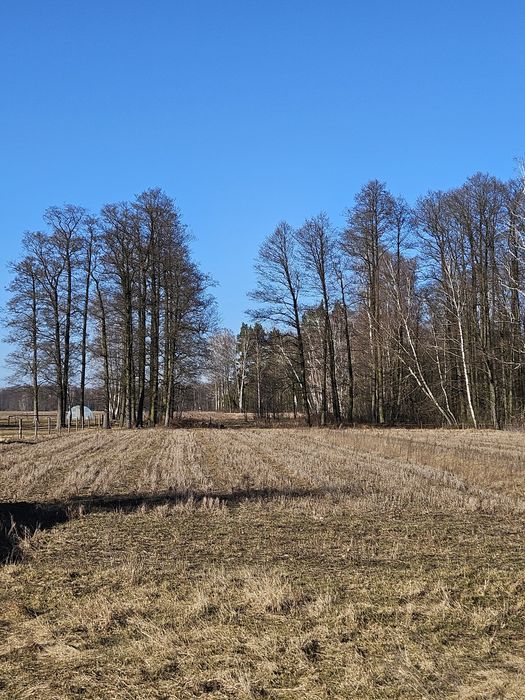 Wydzierżawie grunty orne 4,0955ha