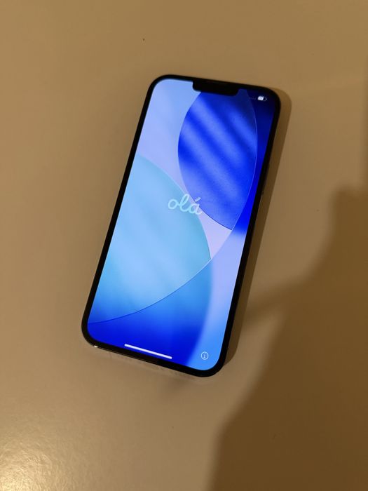 Iphone 13 Pro Max 256GB