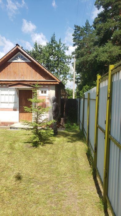 Дача в кооперативе сосновый бор