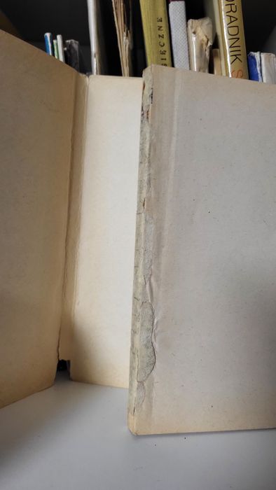 Mała księżniczka F. H. Burnet vintage retro