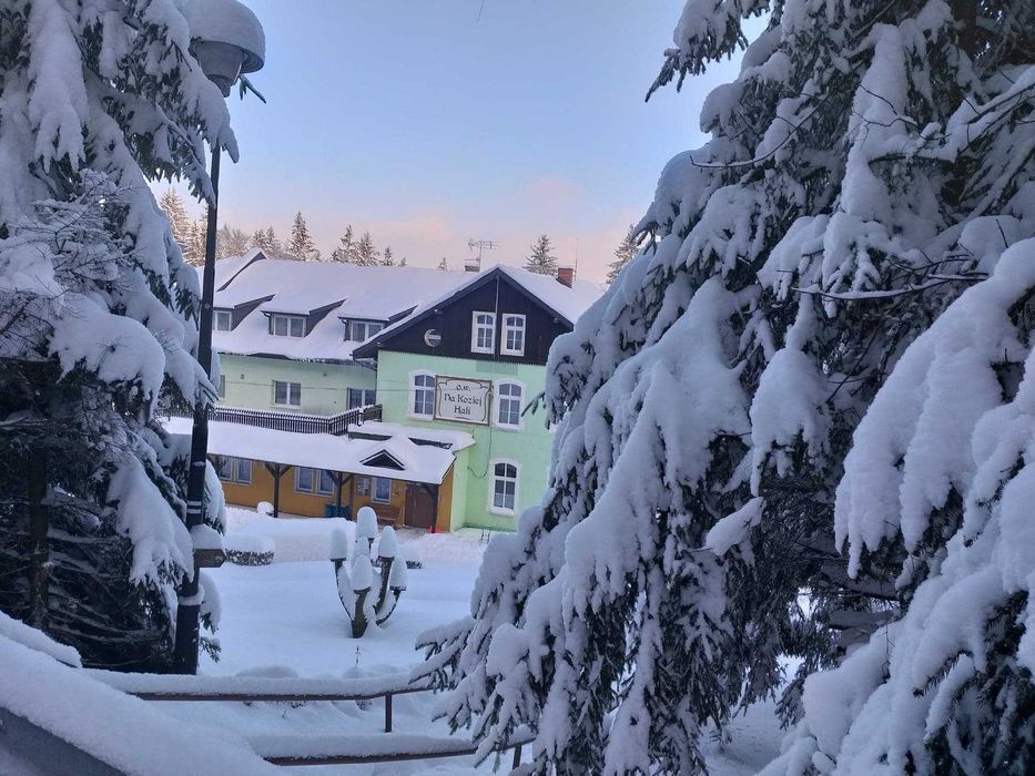 ośrodek wypoczynkowy, noclegi ,kwatery Zieleniec