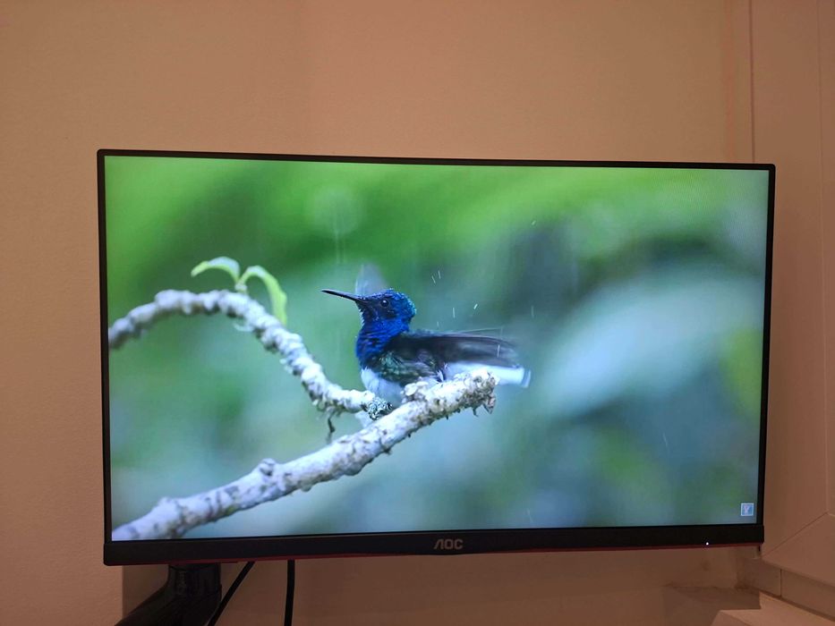 2 Monitores AOC 24G2SU/BK 23.8" 165Hz