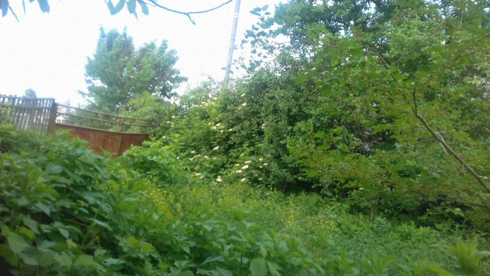Продам СВІЙ будинок з ділянкою 33 сотки в с. Логвин, Київська область - View 3