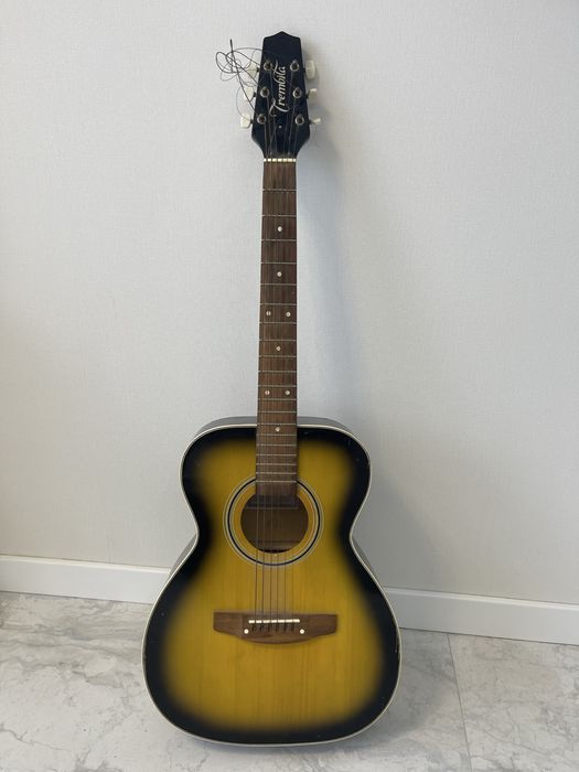 Гітара 6 струнна Trembita