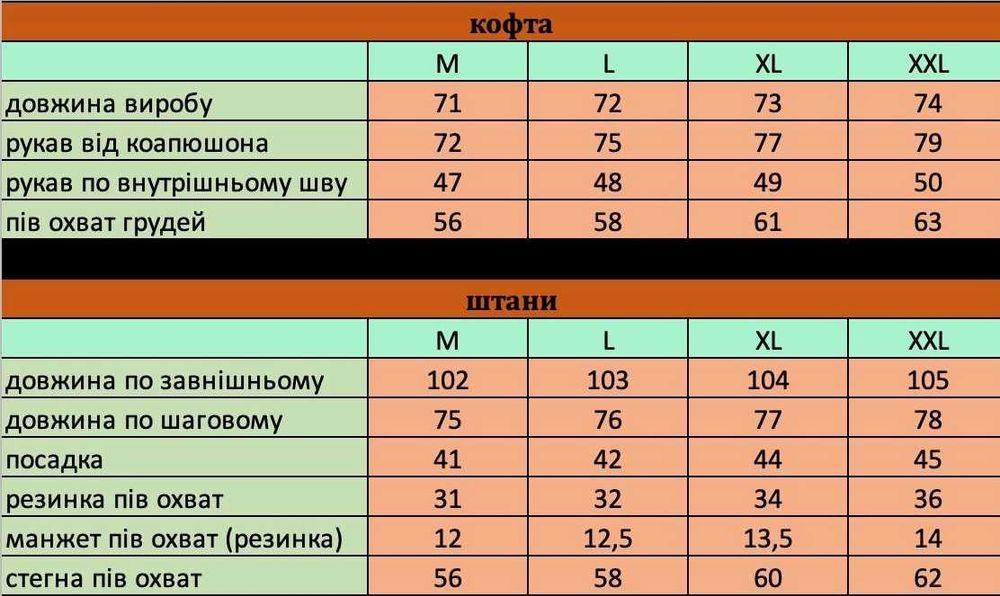 Спортивний чоловічий костюм Nike