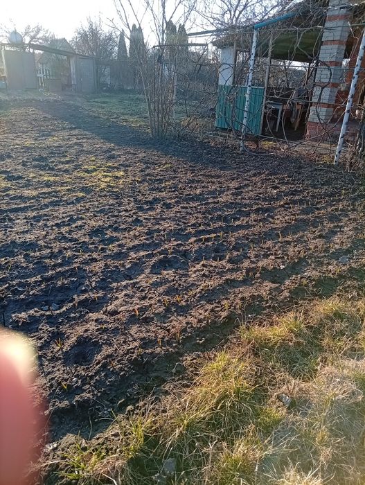 House in Sumy - View 4