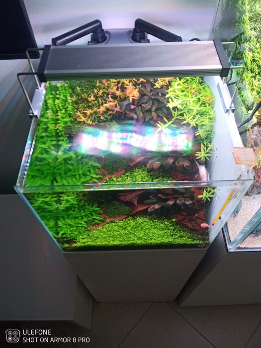 Móvel e aquário 35x35x30, completo