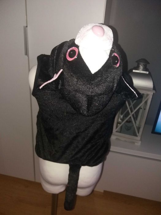 Strój karnawałowy KOT KOTKA KOTEK przebranie kostium 98/110 (365)