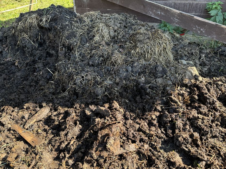 Oddam obornik koński