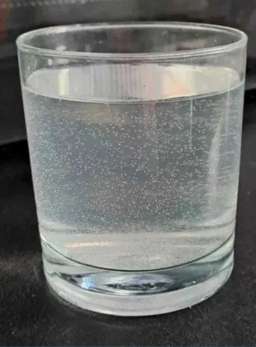 Kefir, algi japońskie