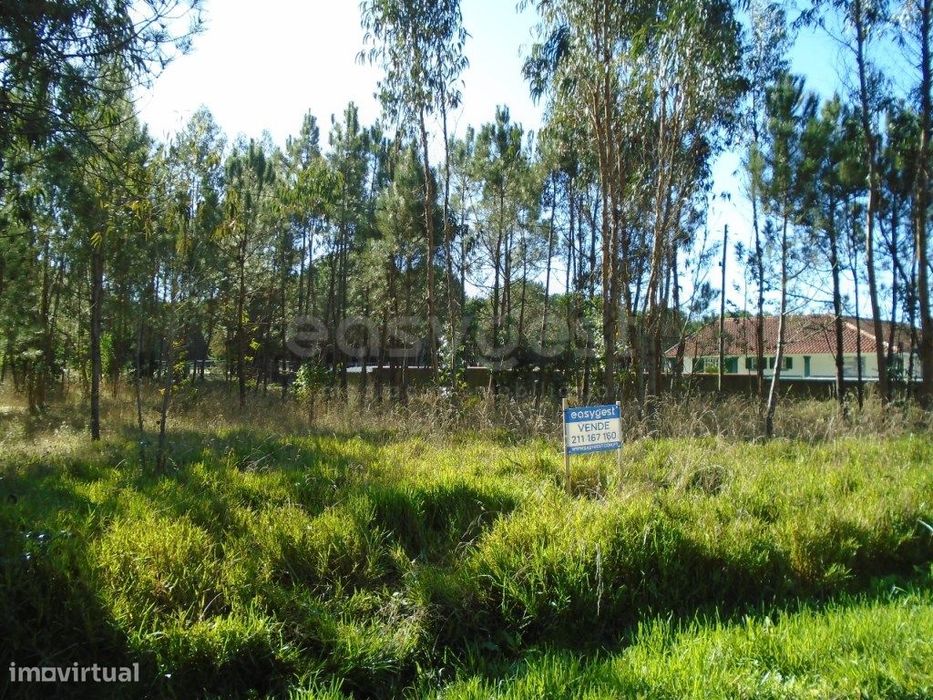 Terreno com 1493 m2 para Construção de Moradia em Burinhosa Pataias