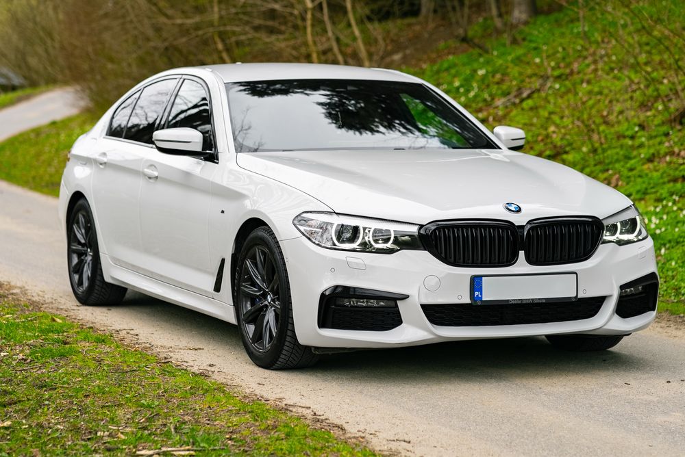 BMW Seria 5 xDrive salon PL