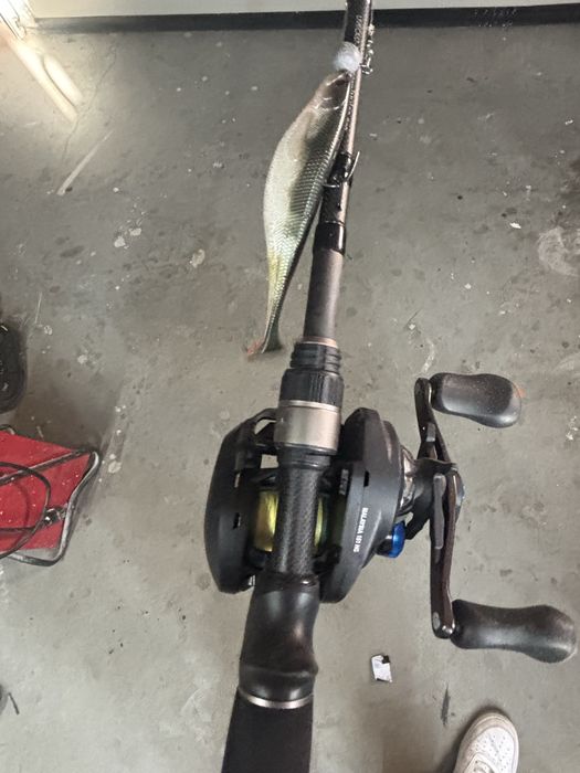 Westin w3 livecast 20/80 + multiplikator Shimano Slx Dc 151HG