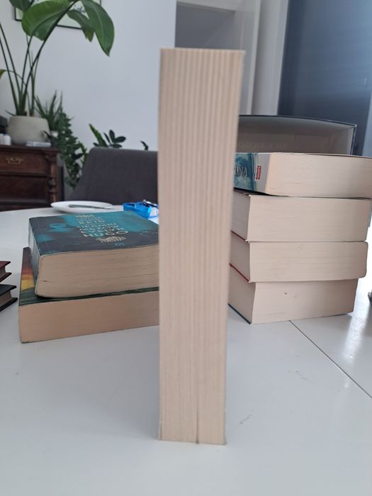 Siedmiu mężów Evelyn Hugo, Taylor Jenkins Reid