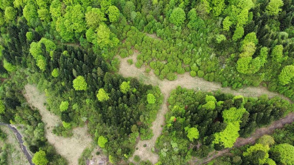 Ідеальна локація для успішного відпочинкового бізнесу...