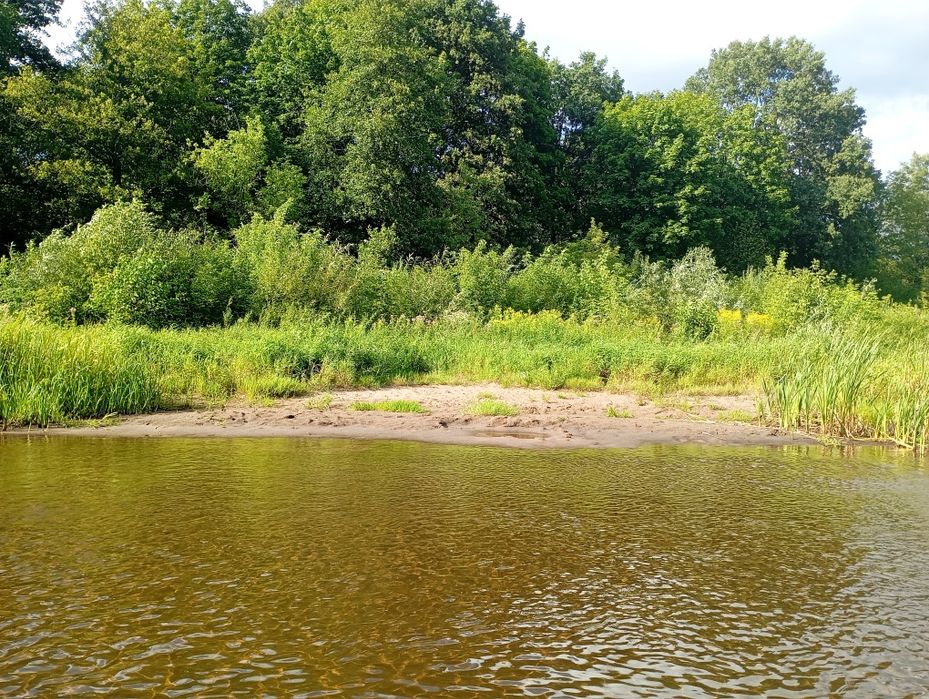 Leśne zacisze- nocleg, domek, rzeka Liwiec