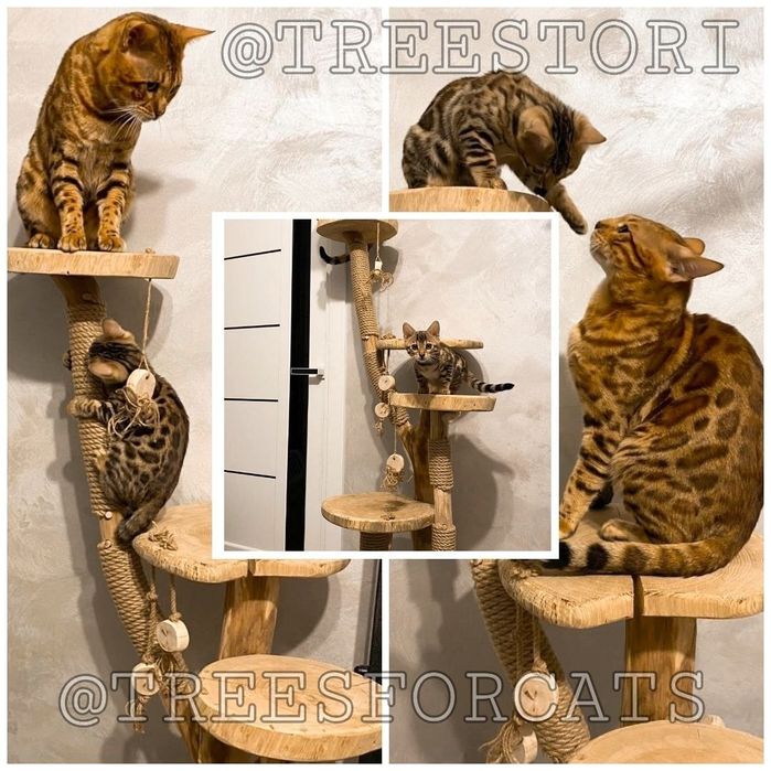 Еко кігтеточка для кота. Дряпка для кота. Будинок для котів з дерева