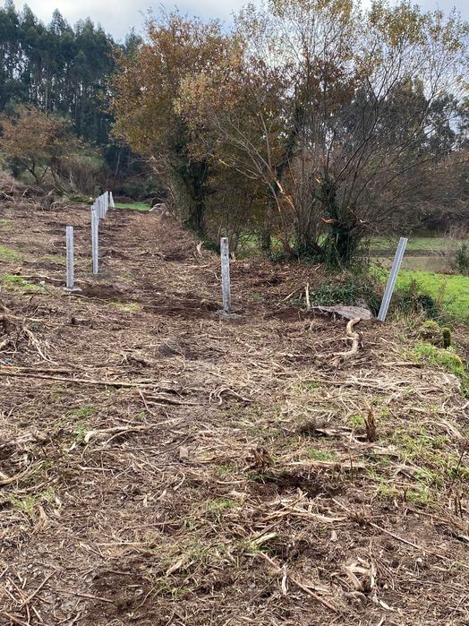 Terreno 10.000 m/2 com mina de água permanente / 10,000 m² (1 ha) plot of land with a permanent water spring