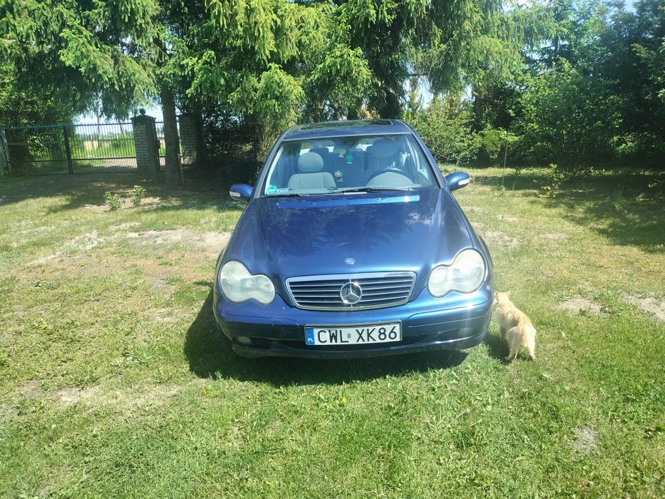 Mercedes C Klasa W203