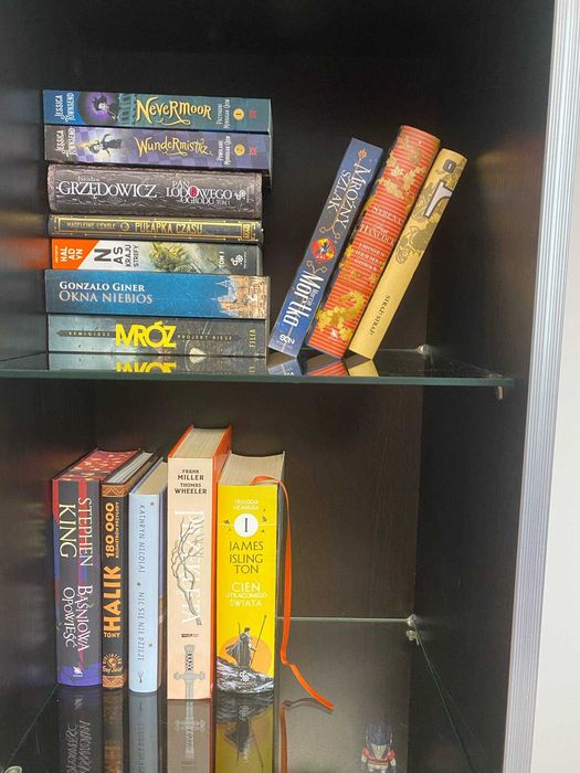 Zestaw 15 Książek (Stephen King, Frank Miller, Cień Utraconego Świata)