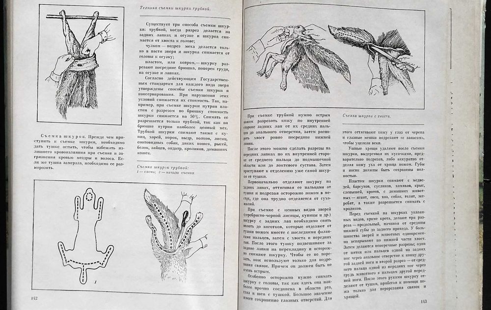 Популярный охотминимум. & Охота.