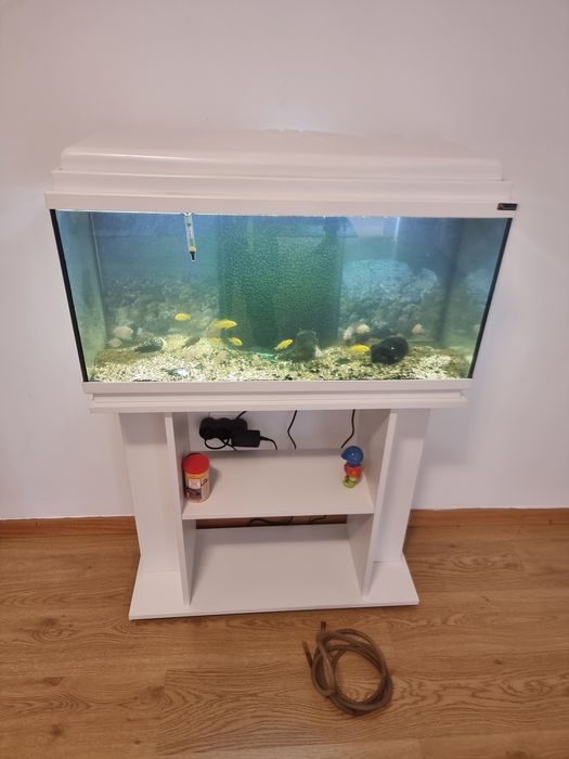 Vendo aquário com filtro