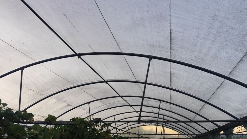 Estufas Estrutura metalica