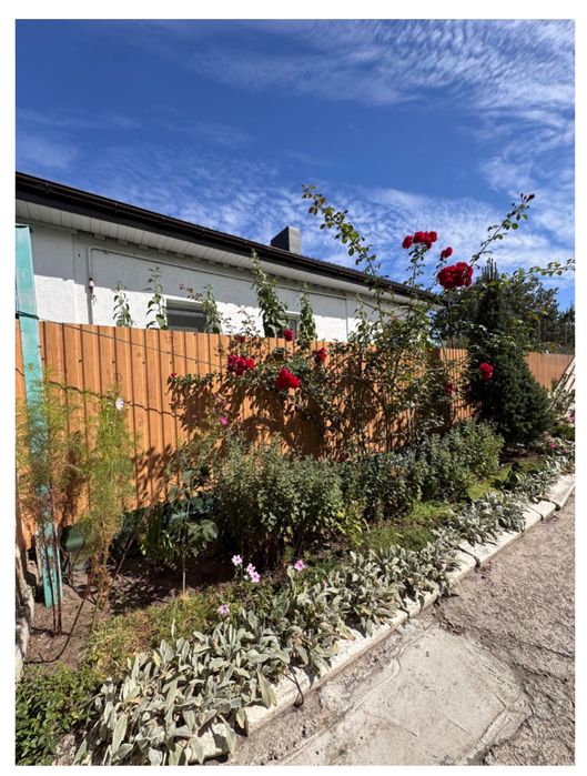 Продам будинок на Новомиколаївці