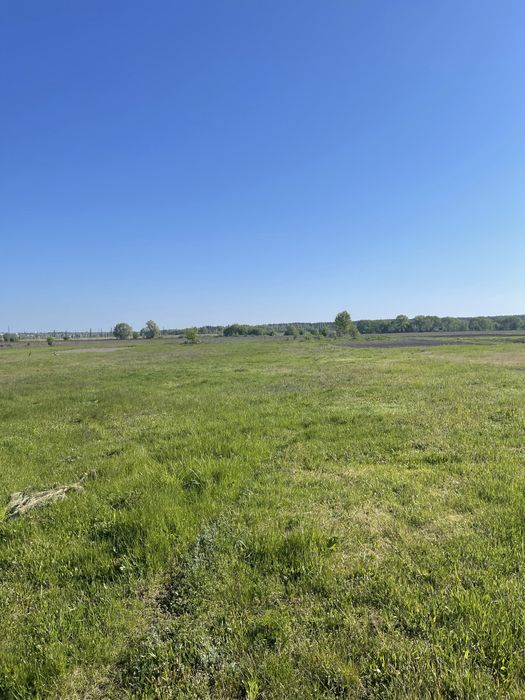 Дадим дом бесплатно для жизни