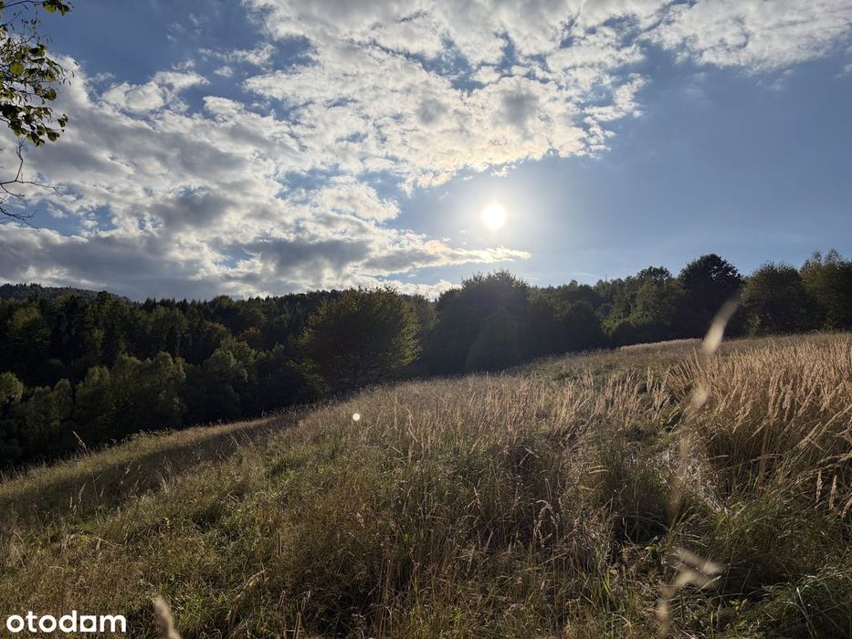 Widokowa Działka W Górach | Beskid Żywiecki | Mpzp – Dom Jednorodzinny - Więcej