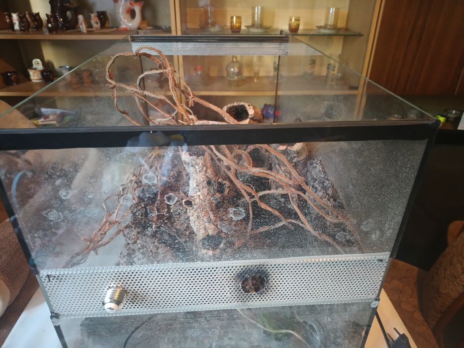 Terrarium dla węża 158 litrów
