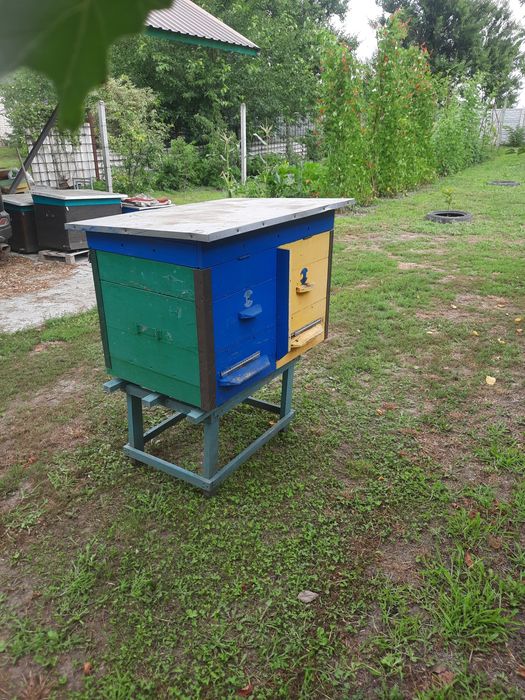 Продам улей лежак 22 рамки с магазинами. Ц.5000грн.