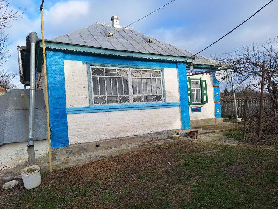 Будинок, літня кухня, гараж, центр, земельна ділянка.