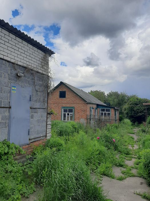 Продам домовладение в тихом центре Люботина