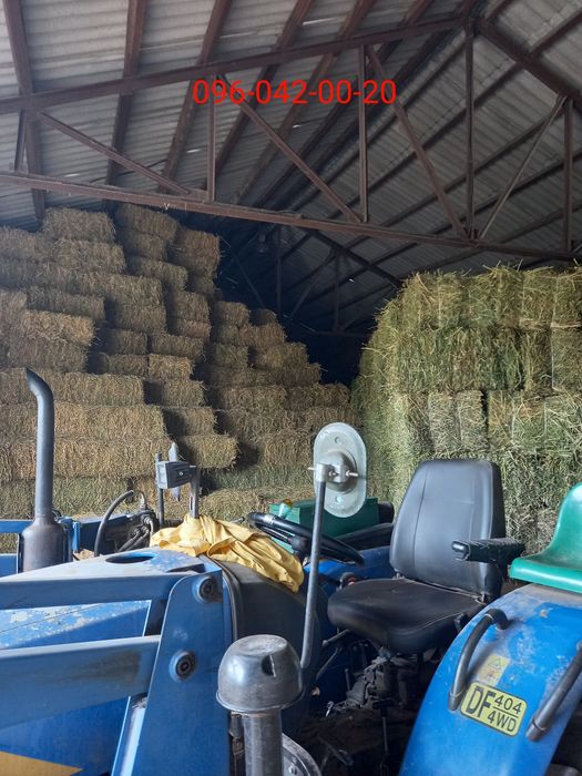 сіно    ЗЛАКОВЕ,  лугове,  польове