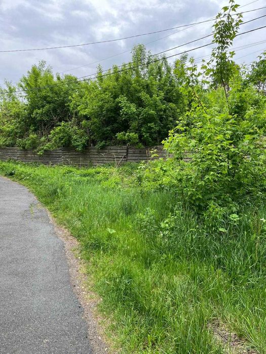 Продаж земельної ділянки в Музичах