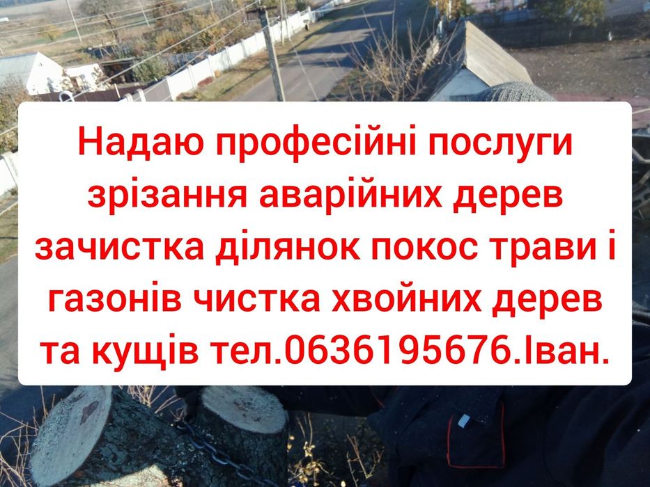 Надаємо послуги зрізання Аварійних дерев